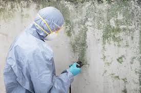 Best Attic Mold Removal  in Alliae, NC